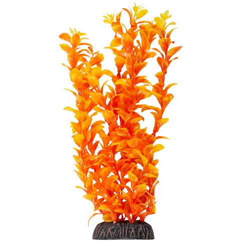 Растение Laguna "Людвигия" ярко-оранжевая, 300 мм