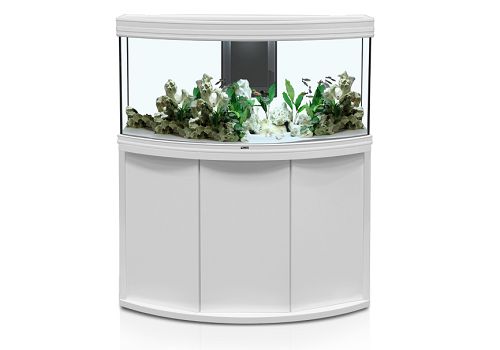 Аквариум AQUATLANTIS FUSION HORIZON 120, 252 л, 120x50x60 см от интернет-магазина STELLEX AQUA