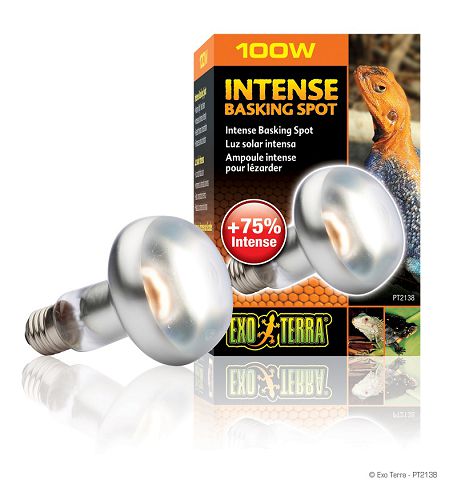 Exo Terra INTENSE BASKING SPOT террариумная лампа дневного света для баскинга, 100 Вт
