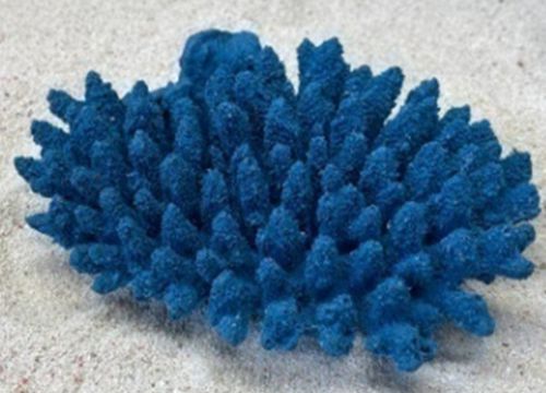 Цветной коралл синий Белиз 2, 19*14*5 см