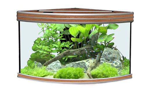 Аквариум AQUATLANTIS EVASION CORNER 120, 305 л, 120х85х60 см от интернет-магазина STELLEX AQUA