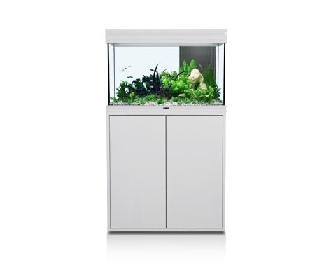 Тумба AQUATLANTIS FUSION 80 д/аквариума, 80x40x83 см (19 мм) от интернет-магазина STELLEX AQUA