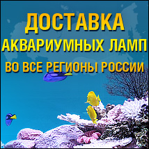 Доставка аквариумных ламп по России