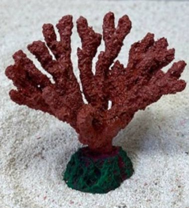 Цветной коралл красный Коралл акобария, 9*5*7 см