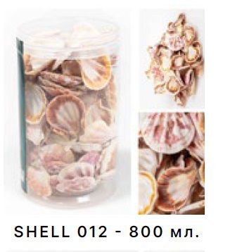 Набор морских раковин Barbus в банке 800 мл/300-400гр