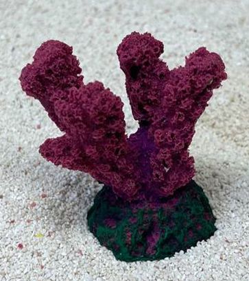 Цветной коралл пурпурный Коралл рога, 5,5*3,5*5 см