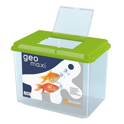 Пластиковая переноска-террариум Ferplast GEO для рыб и грызунов, с крышкой