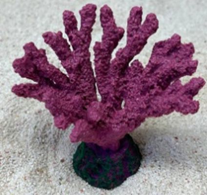 Цветной коралл пурпурный Коралл акобария, 9*5*7 см