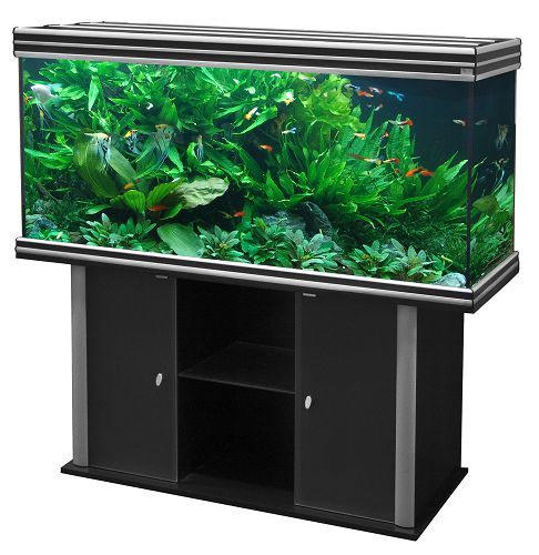 Тумба AQUATLANTIS EVASION 150х60 д/аквариума, 150x60х80 см от интернет-магазина STELLEX AQUA