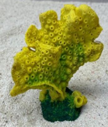 Цветной коралл желтый Акропора, 9*5*10 см
