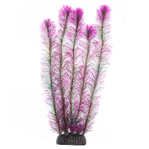Растение Laguna "Перистолистник" фиолетовый, 400 мм