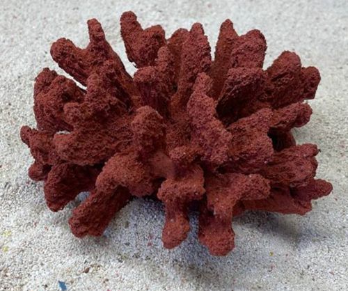 Цветной коралл красный Коралл брокколи, 14*13*7 см