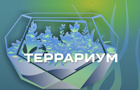 Террариумы