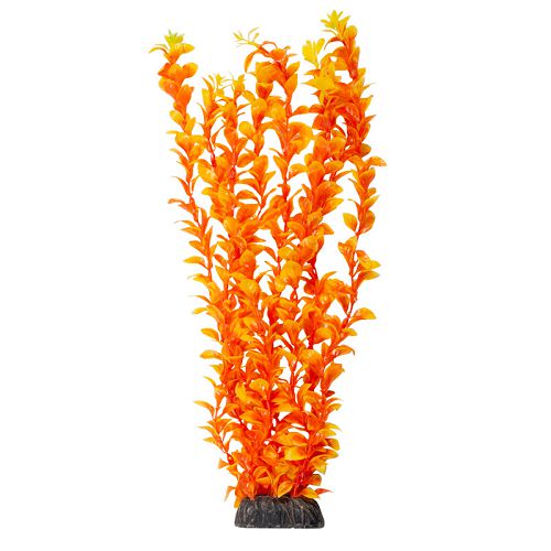 Растение Laguna "Людвигия" ярко-оранжевая, 400 мм
