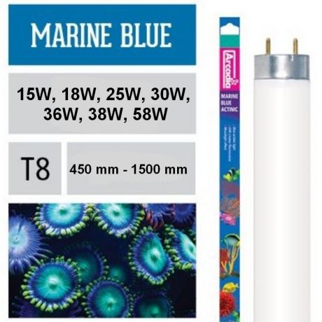 Лампа флуоресцентная Arcadia Т8 Marine Blue 420 Actinic 18 Вт, 600 мм
