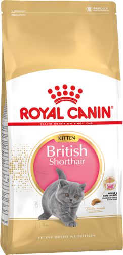 Корм Royal Canin Kitten British Shorthair для британских короткошерстных котят до 12 месяцев