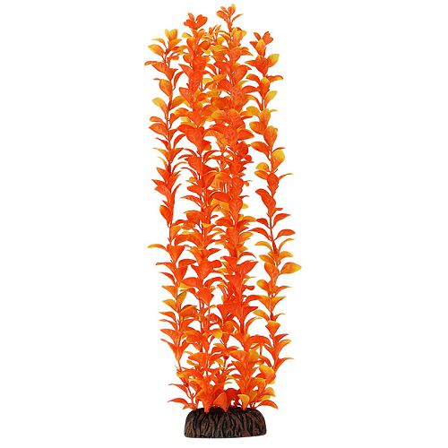 Растение Laguna "Людвигия" оранжевая, 400 мм