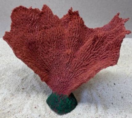 Цветной коралл красный Коралл веер, 17*7*15 см