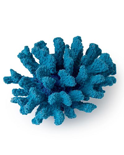 Кр-1523 Коралл брокколи синий , 14*13*7 см