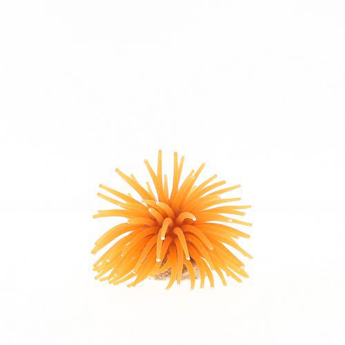 Коралл VITALITY на керамической основе, силикон, оранжевый, 4,5х4,5х4 см (RT172SOR)