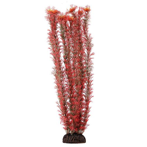 Растение Laguna "Амбулия" красная, 400 мм