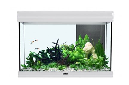 Аквариум AQUATLANTIS FUSION 80, 137 л, 80x40x55 см, LED-светильник 27w от интернет-магазина STELLEX AQUA