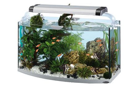 Аквариум Ferplast CAYMAN 80 OPEN SCENIC открытый, полукруглый, 150 л Аквариум Ferplast CAYMAN 80 OPEN SCENIC открытый, полукруглый, 150 л