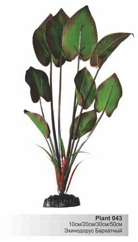 Шёлковое растение Barbus Эхинодорус бархатный 20 см