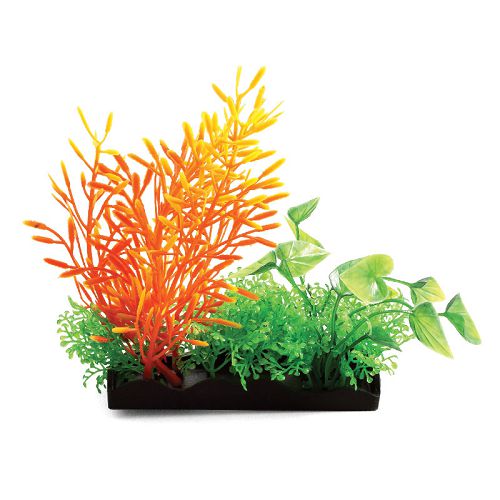 Растения композиция Laguna, оранжевая, 150 мм