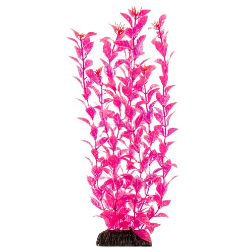 Растение Laguna "Людвигия" ярко-розовая, 500 мм