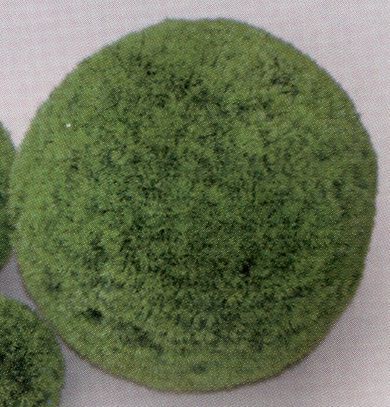 VITALITY Коврик-шар, пластик, зеленый, D=14 см (2866-14)