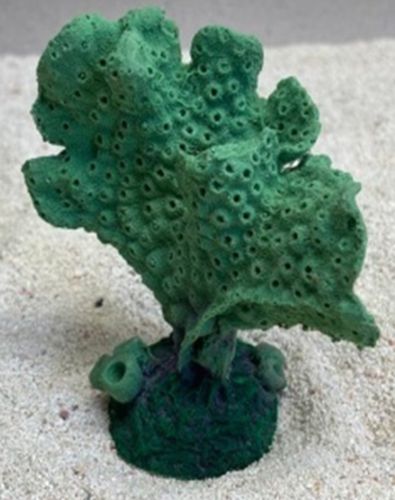 Цветной коралл зеленый Акропора, 9*5*10 см