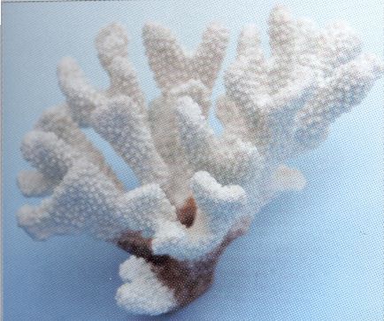 Коралл VITALITY пластик, белый, 17х14х11 см