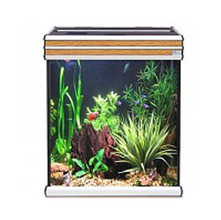 Аквариум AQUATLANTIS EVASION 56х56, 165 л, 56х56х60 см от интернет-магазина STELLEX AQUA