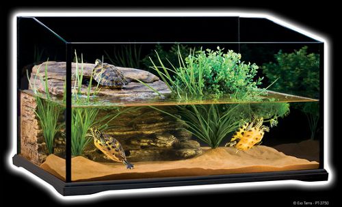 Exo Terra Turtle Terrarium террариум стеклянный для черепах, 60х45х35 см