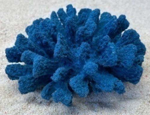 Цветной коралл синий Коралл брокколи, 14*13*7 см