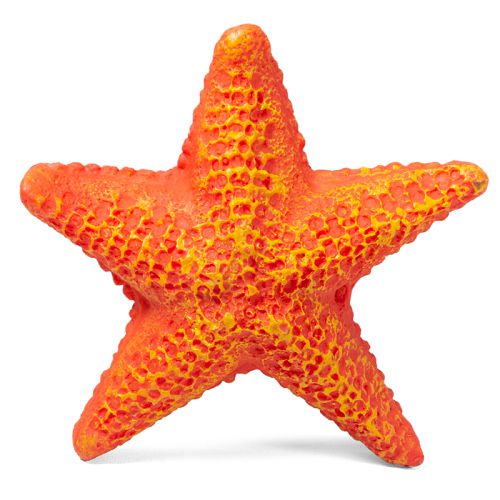 Звезда морская малая Laguna, 85х85х23 мм