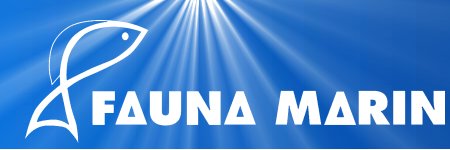 Fauna Marin Fauna Marin