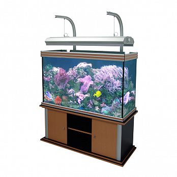 Аквариум с тумбой AQUATLANTIS EVASION 127х50 бук, 500 л, 127х50х145 см от интернет-магазина STELLEX AQUA