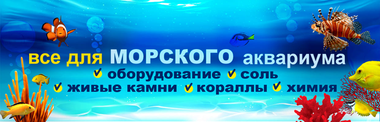 Аксессуары Для Аквариума Интернет Магазин