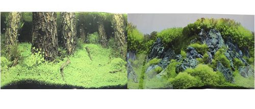 Фон PRIME двусторонний Затопленный лес/Камни с растениями, 50х100 см