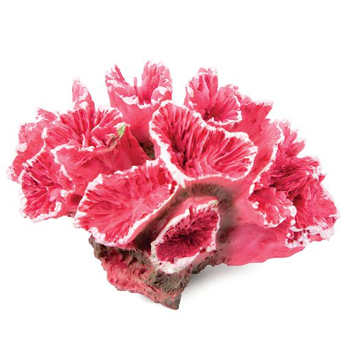 Коралл Laguna искусственный "Кауластрея", розовая, 70х50х45 мм
