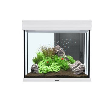 Аквариум AQUATLANTIS FUSION 60, 109 л, 60x40x60 см, LED-светильник 19w от интернет-магазина STELLEX AQUA