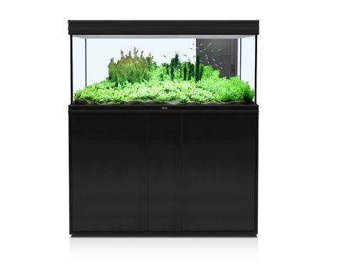 Тумба AQUATLANTIS FUSION 120 д/аквариума 244 л, черный глянец, 120x40x83 см (19 мм) от интернет-магазина STELLEX AQUA