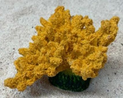Цветной коралл оранжевый Коралл корона, 13*10*6,5 см