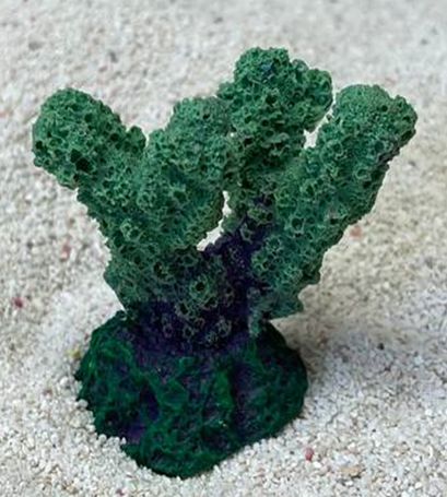 Цветной коралл зеленый Коралл рога, 5,5*3,5*5 см