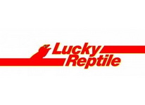 Lucky Reptile