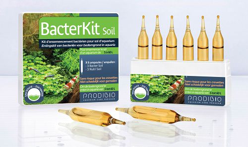 Prodibio BacterKit Soil гипер-концентрированный бактериальный препарат для грунтов, ампулы 6 шт.