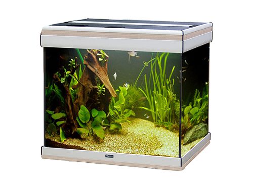 Аквариум AQUATLANTIS AMBIANCE 60 дуб отбеленный, 115 л, 60х40x55 см от интернет-магазина STELLEX AQUA