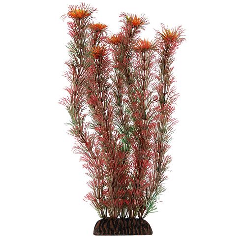 Растение Laguna "Амбулия" красная, 300 мм